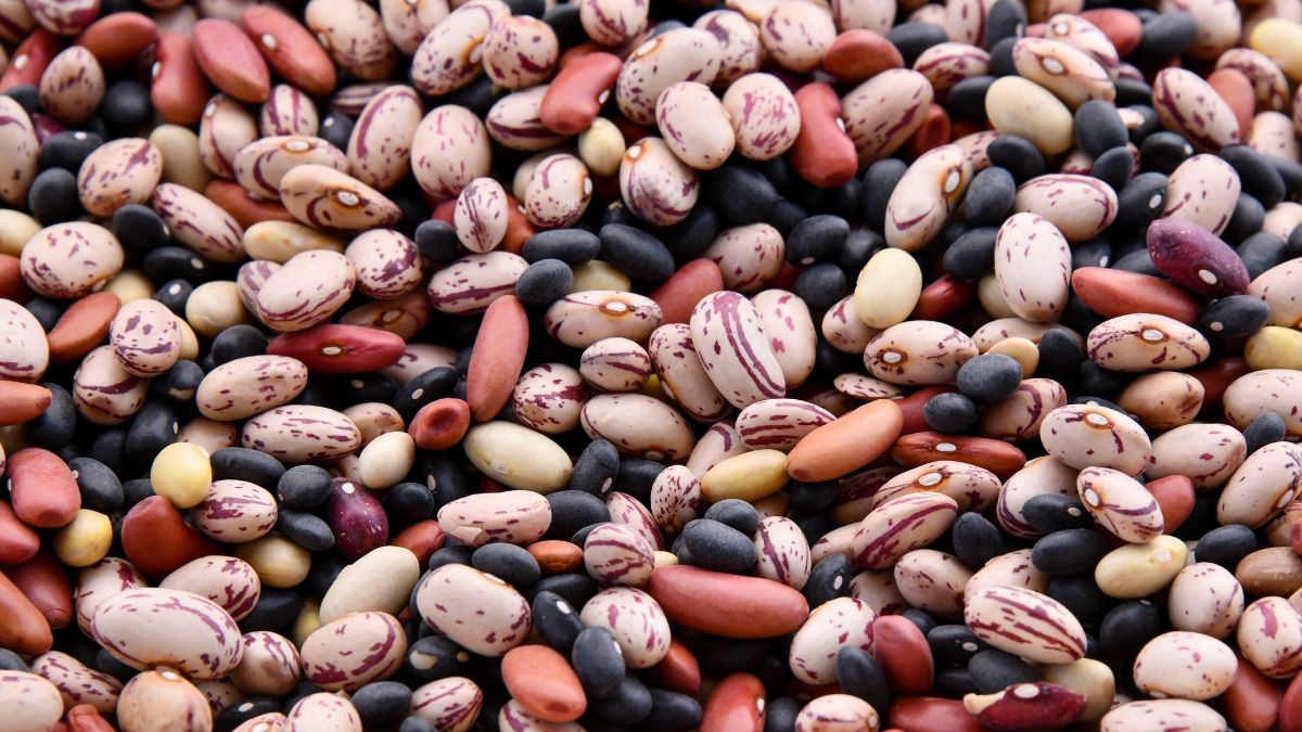 Fagioli e legumi africani